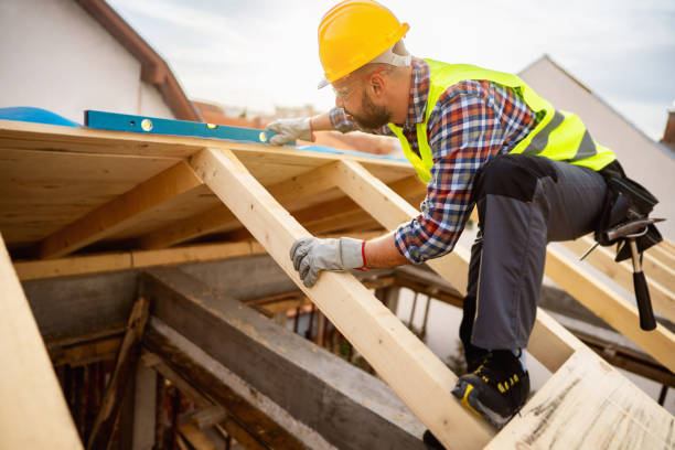 Best Roof Gutter Cleaning  in Lake Park, IA